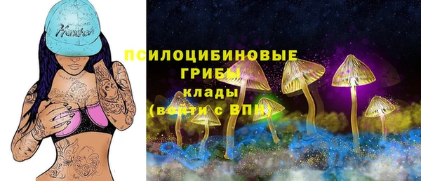 скорость Абаза