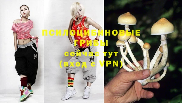 скорость Абаза