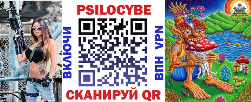наркошоп  Гагарин  Псилоцибиновые грибы Psilocybe 