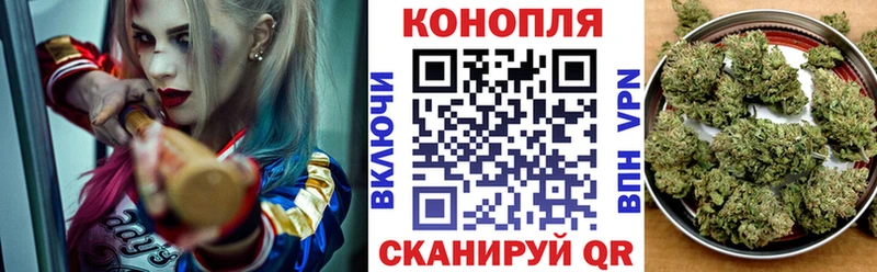 Каннабис MAZAR Гагарин